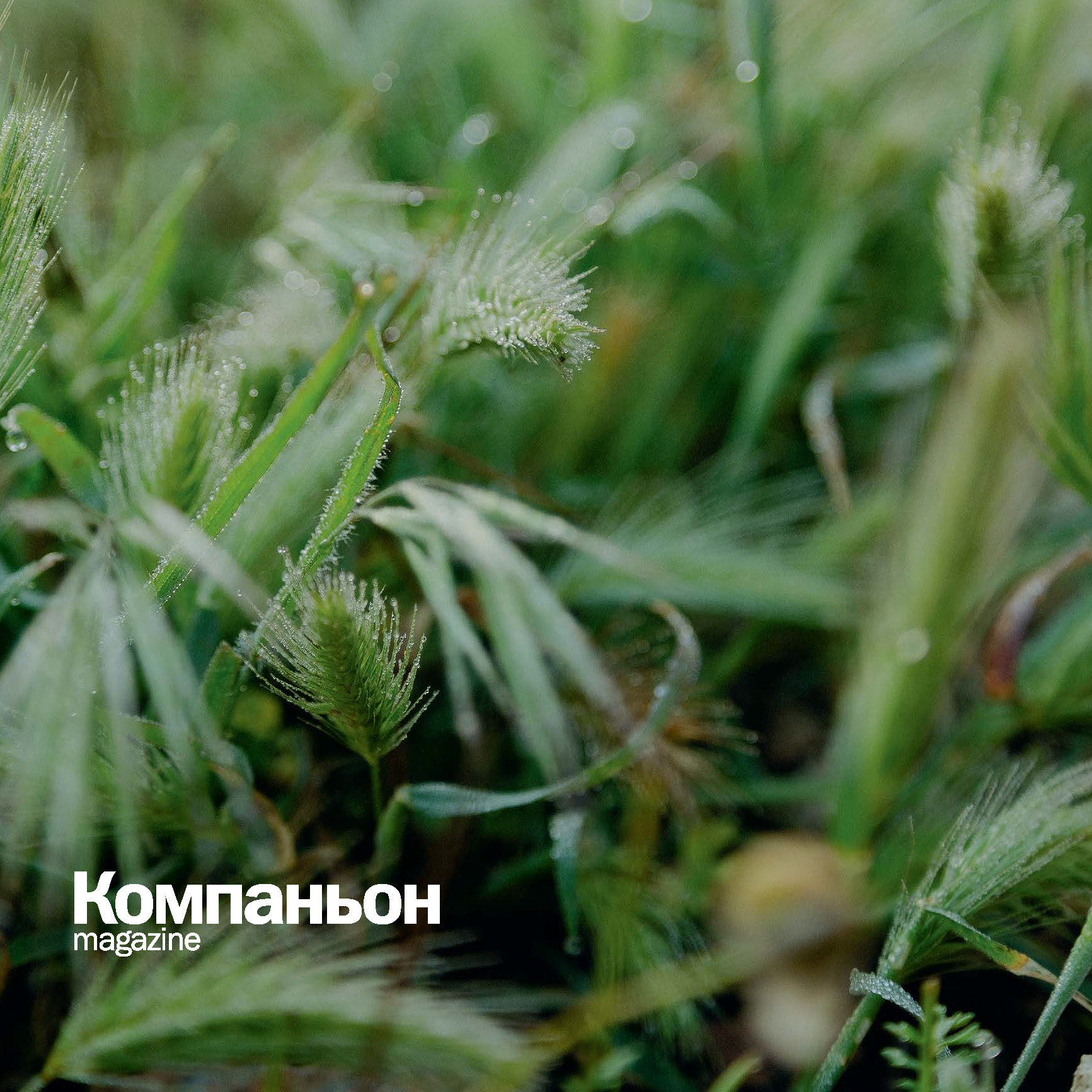 «Компаньон magazine»